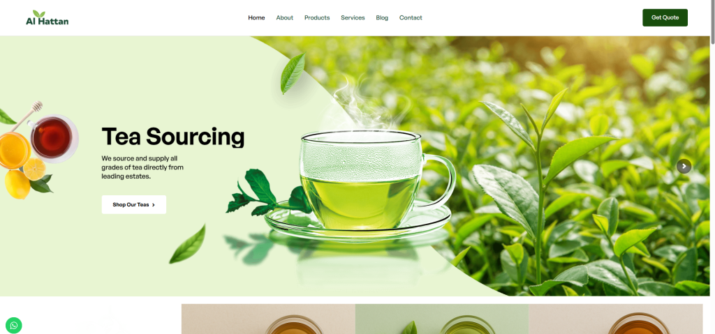 Top Web Development Company