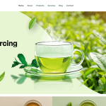 Top Web Development Company