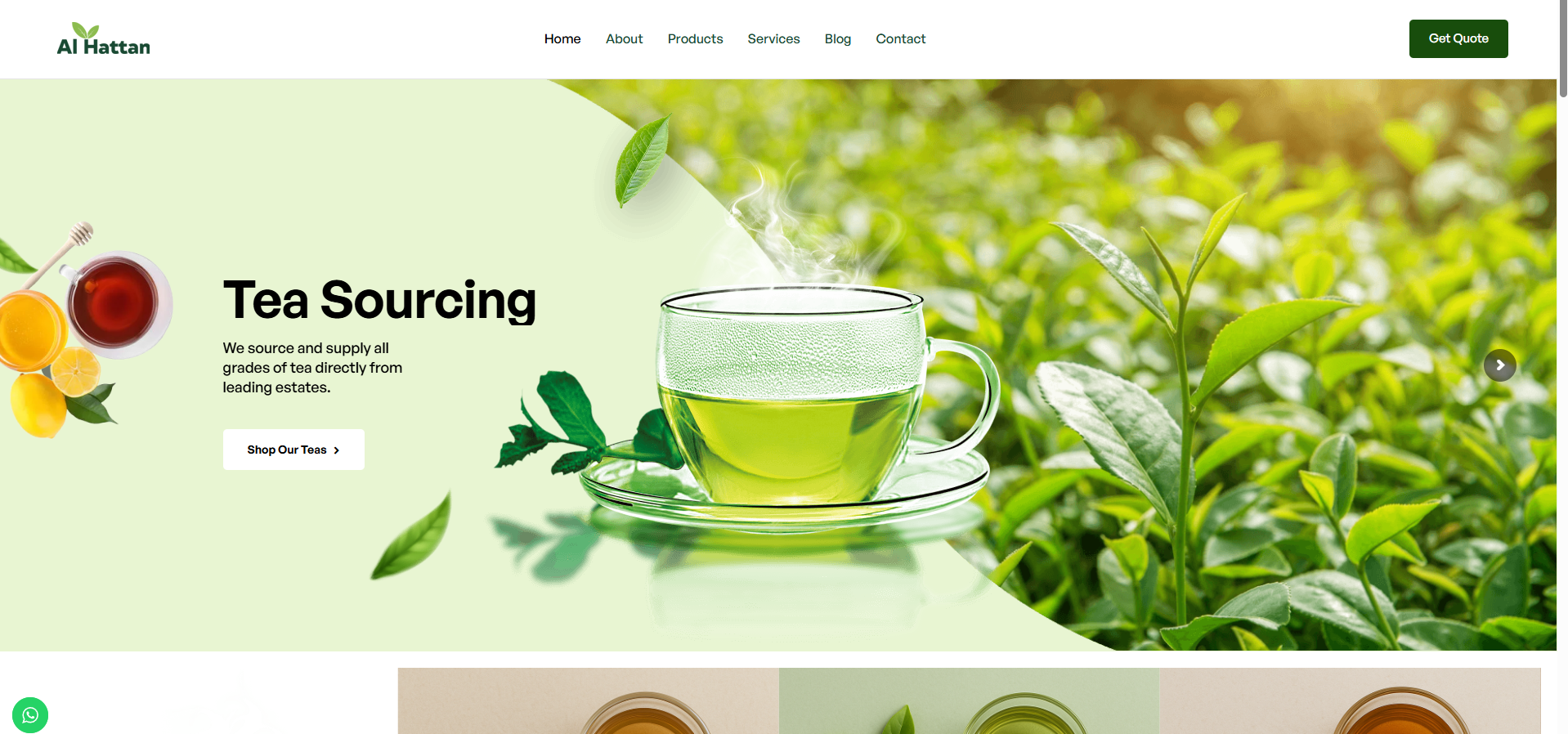 Top Web Development Company